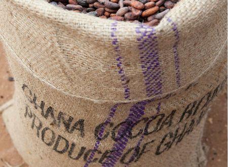 Production du cacao: Le Ghana va augmenter le prix à 50 %
