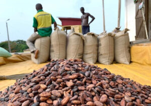 Le COCOBOD empruntera jusqu'à 1,5 milliard $