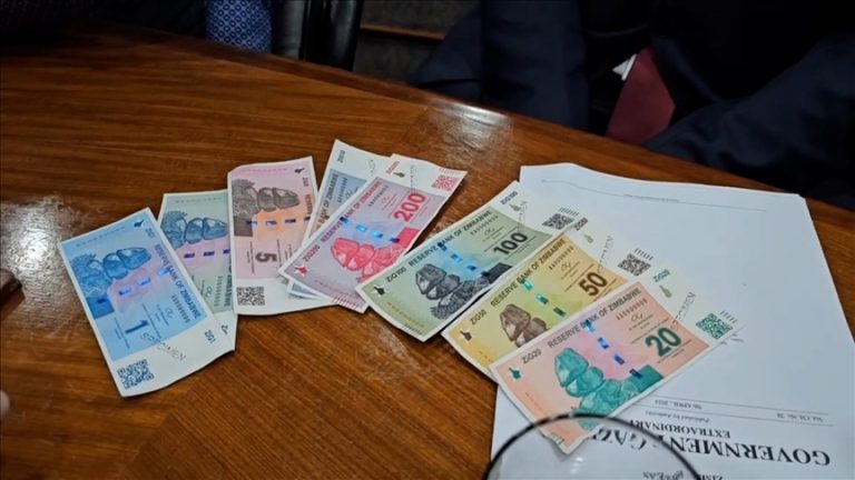 Zimbabwe : La nouvelle monnaie ZiG face au du marché noir