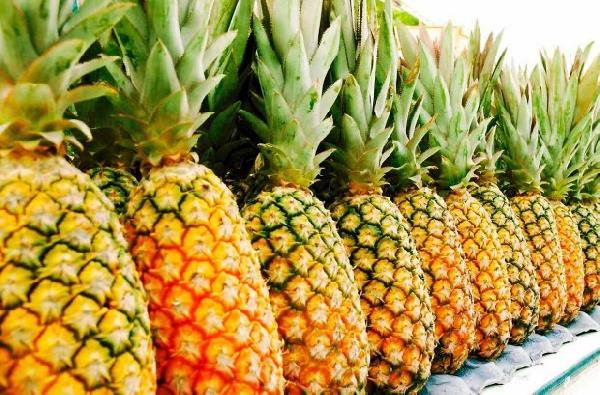 Produits agricoles : La France rejette l'ananas béninois