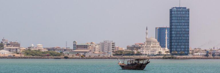 ZLECA : Djibouti maximise les bénéfices pour le secteur privé