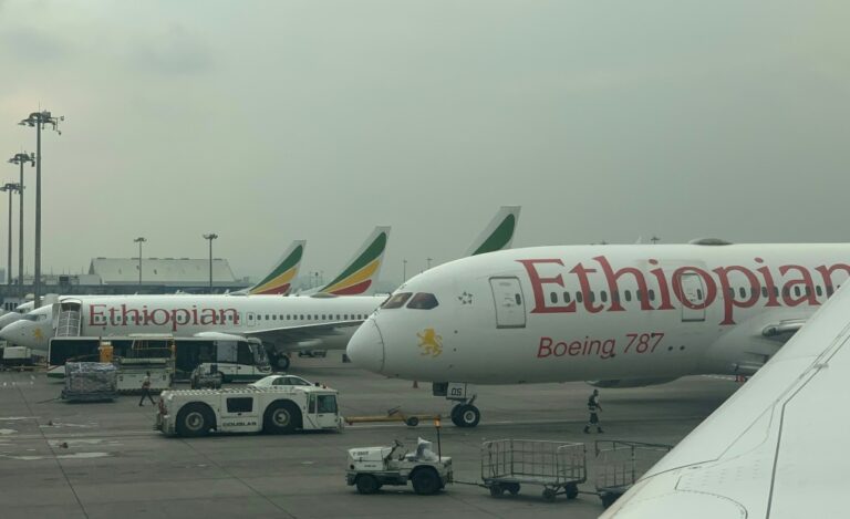 Ethiopian Airlines, leader du secteur aérien en Afrique, projette la construction d’une gigantesque infrastructure aéroportuaire d’une capacité annuelle de 100 millions de passagers.