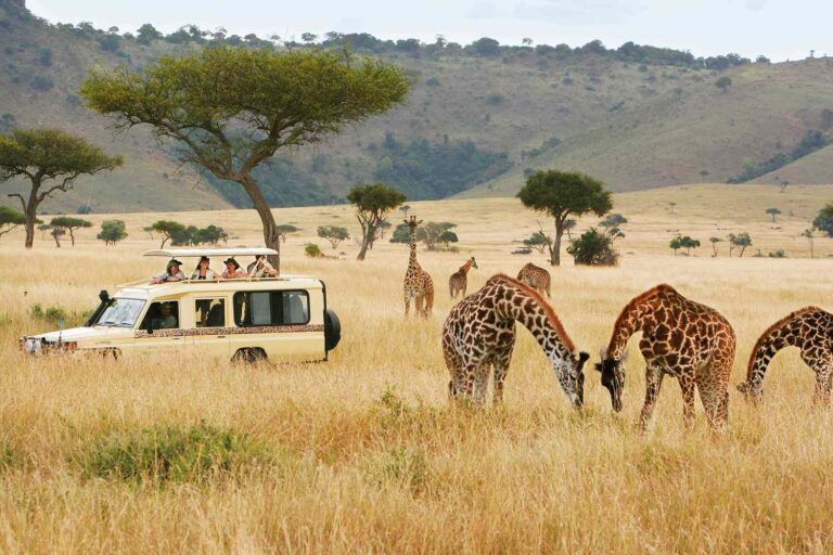 Tourisme : Le Kenya reçoit plus d'un million d'étrangers au 1er semestre 2024