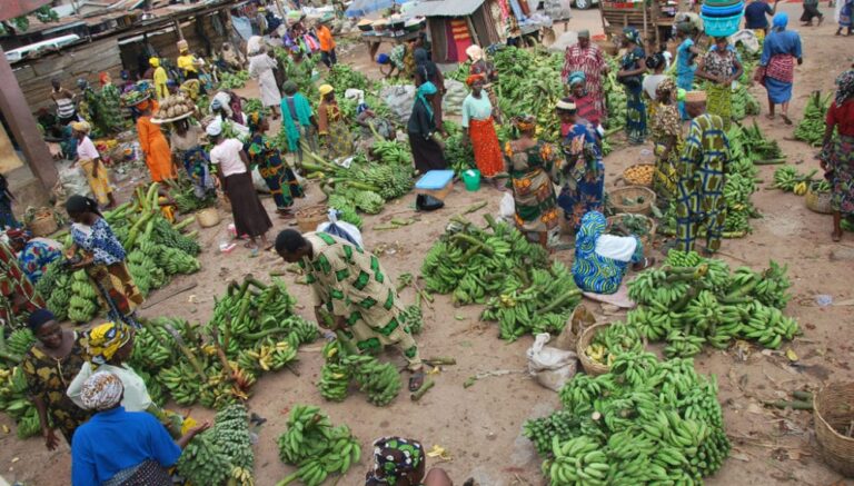 Sécurité alimentaire