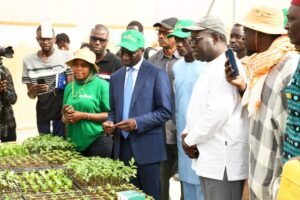 Sénégal : Stratégie pour l’autosuffisance en tomates