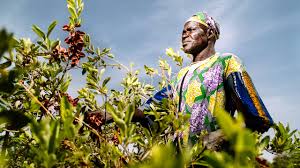 Burkina Faso : le FIDA prévoit 200 millions $ supplémentaires en soutien à l’Agriculture