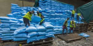 Campagne agricole 2025-2026 : 85 000 tonnes d’engrais pour booster la production