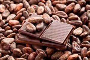 Cameroun : Yaoundé va abriter la première bourse africaine du cacao