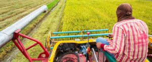 Accès aux intrants agricoles : le Nigeria reçoit un prêt de 80 millions $ du Japon