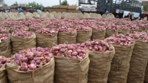 Nigéria : la filière oignon augmente sa capacité de stockage