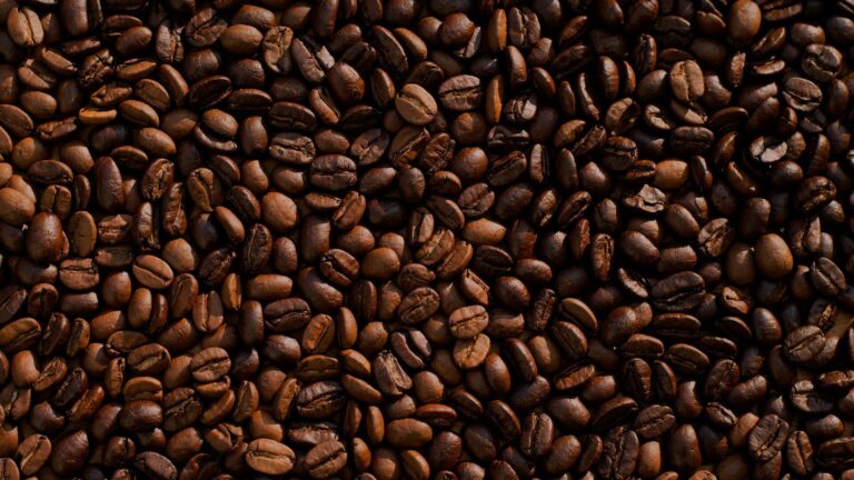 Ouganda : hausse attendue de 27 % des exportations de café