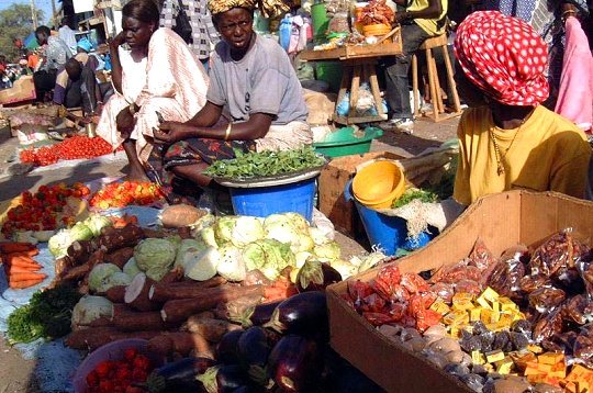 Commerce et services : les chiffres d’affaires sont en baisse au Sénégal