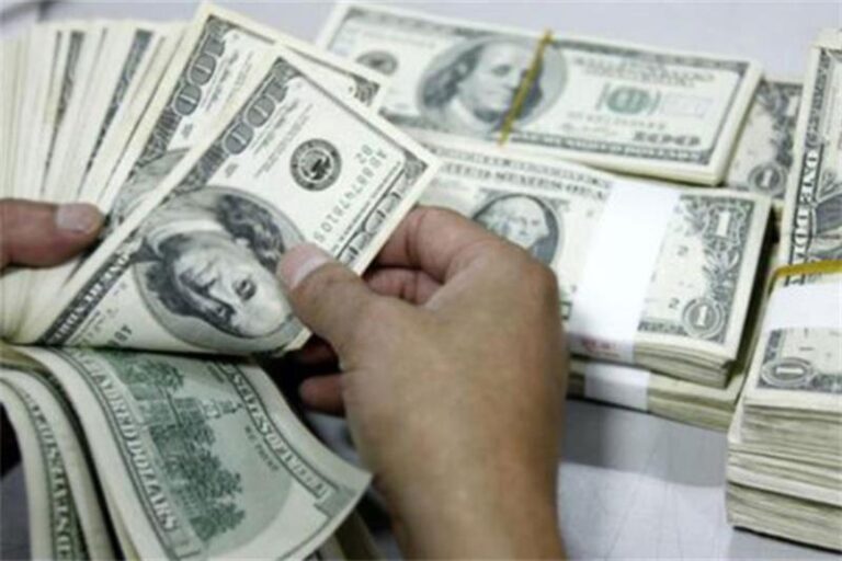 BCE : hausse de 77,1 % des transferts des Egyptiens travaillant à l'étranger