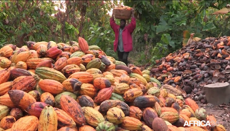 Transformation locale : la Côte d’Ivoire, premier broyeur mondial de cacao