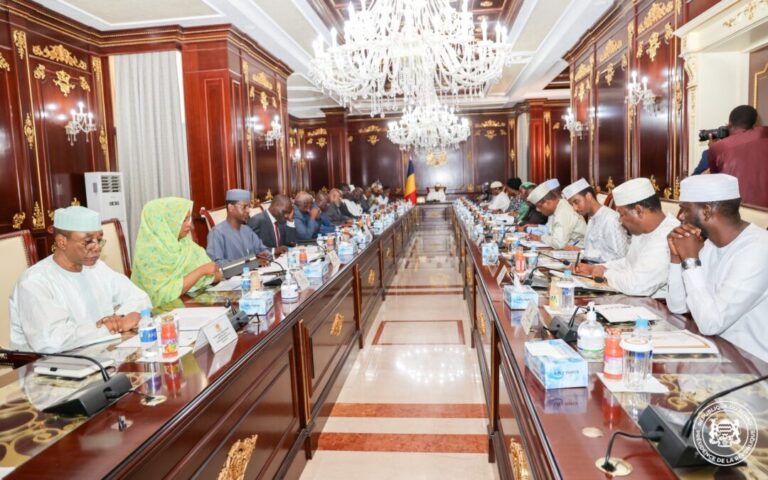 Tchad : Un plan national de développement de 30 milliards USD adopté