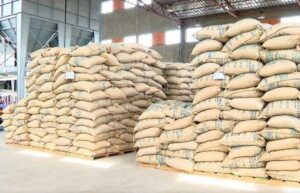 Éthiopie : hausse de 81 % des recettes d’exportations de café