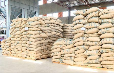 Éthiopie : hausse de 81 % des recettes d’exportations de café