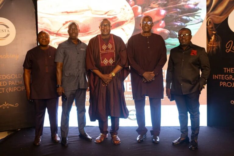 Production locale : Onesta Ghana lance le projet Redgold Palm Oil