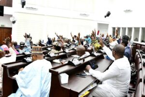 Pipeline Niger-Bénin : les députés adoptent des modifications pour la sécurité juridique