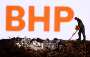 Tanzanie : BHP acte son retrait du projet de nickel Kabanga
