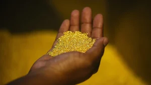 Namibie : Metso remporte une commande d’équipements pour un projet aurifère