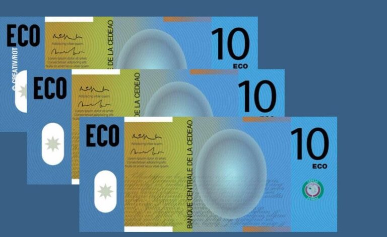 CEDEAO : la nouvelle monnaie Eco sera lancée en 2027