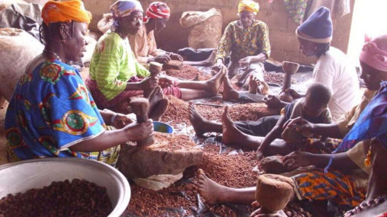 Karité : Le Nigeria lance une nouvelle unité de transformation