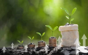 Projet climatique : lancement d’un cadre de financement vert