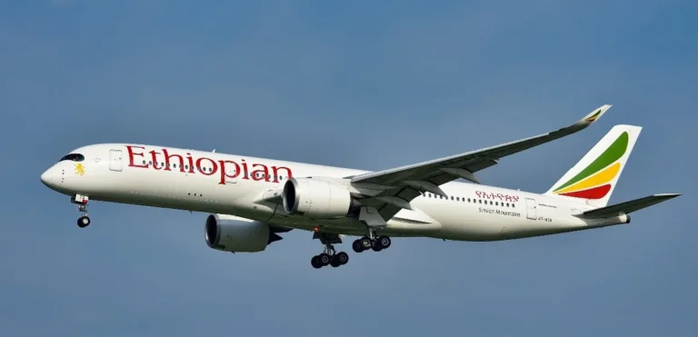 Compagnie aérienne : Ethiopian Airlines ouvre un nouvel aéroport