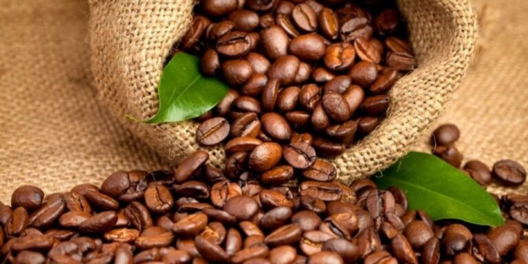 Rwanda : les expéditions de café génèrent 116 millions $