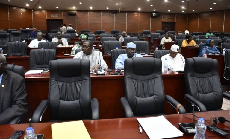 Tchad : le Sénat ratifie l’ordonnance relative au secret bancaire