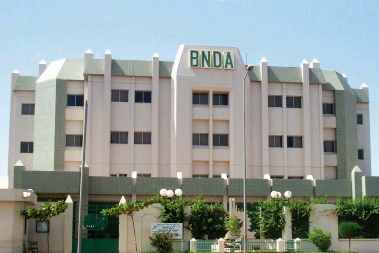 Mali : Un prêt de l'IFC pour soutenir les PME agricoles