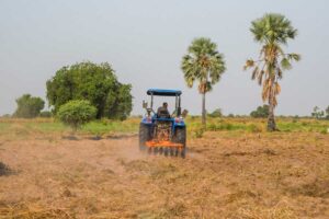 Production de blé :  le Nigeria vise 160 milliards de nairas pour 2025/2026