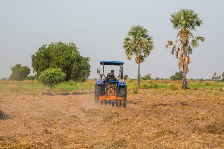 Production de blé :  le Nigeria vise 160 milliards de nairas pour 2025/2026