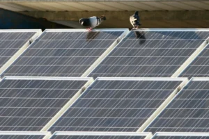 Madagascar : Moramanga lance une centrale de 40 MWc