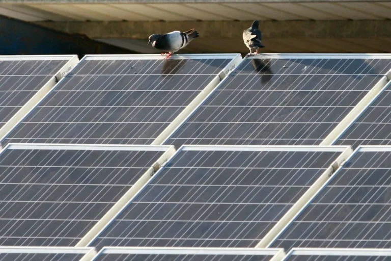 Madagascar : Moramanga lance une centrale de 40 MWc