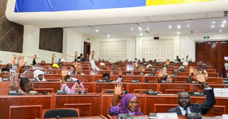 Tchad : le Sénat modernise le cadre juridique des communications électroniques