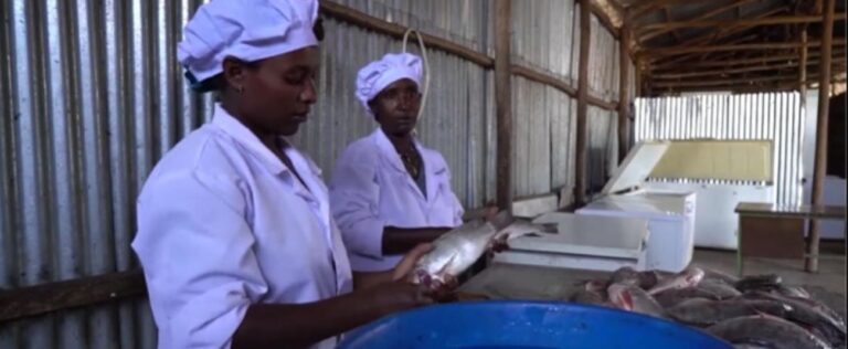 Afrique australe : un programme de pêche améliore les revenus et la sécurité alimentaire dans 16 pays