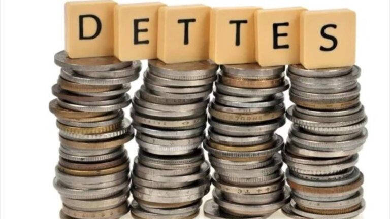 Dette des Pays en Développement : Saignés de 741 Milliards $ en deux ans