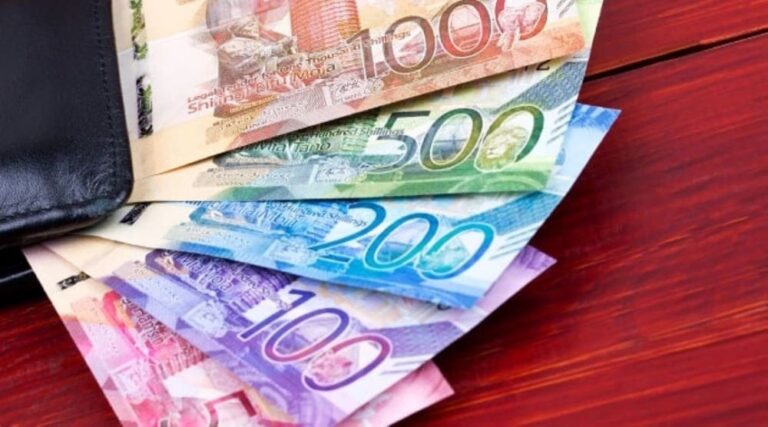 République centrafricaine : un Fonds de garantie pour les PME