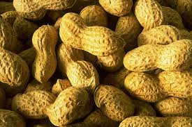 Marchés internationaux : Le Sénégal reprend l’exportation d’arachide