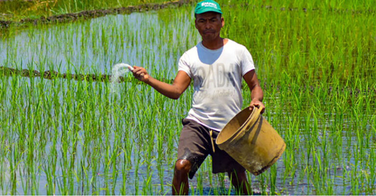 Filière rizicole : Madagascar mise sur 150 000 hectares supplémentaires À Madagascar, le gouvernement affiche une ambition claire : créer 150 000 hectares de nouveaux périmètres rizicoles afin de renforcer la production nationale. Dans cette perspective, le ministère de l’Agriculture a signé, le samedi 14 février, un protocole d’accord avec l’entreprise privée COM’ON HOLDING & PARTENAIRE. Le partenariat prévoit l’installation de sites pilotes « prototypes » dans des bassins de production stratégiques comme l’Atsinanana et l’Alaotra Mangoro. L’objectif est d’y expérimenter des techniques culturales avancées intégrant la mécanisation, notamment pour le repiquage et l’utilisation de moissonneuses-batteuses, afin d’optimiser les rendements. Le dispositif reposera également sur l’introduction de semences certifiées issues de AfricaRice et sur une validation scientifique assurée par le FOFIFA (Centre national de recherche appliquée au développement rural). Selon un communiqué officiel, la production issue de ce partenariat sera prioritairement destinée au marché national. Toutefois, si les objectifs de sécurité alimentaire sont atteints, l’exportation de riz de spécialité pourra être autorisée afin de renforcer l’attractivité économique du secteur agricole malgache. Si le montant global de l’investissement n’a pas encore été dévoilé, l’enjeu est stratégique : enrayer la dépendance croissante de la Grande Île aux importations. D’après les données compilées par la Organisation des Nations unies pour l'alimentation et l'agriculture, les importations de riz ont plus que doublé, atteignant 800 000 tonnes en 2025 contre près de 300 000 tonnes un an plus tôt. Cette hausse spectaculaire illustre les difficultés structurelles de la filière nationale à satisfaire durablement la demande intérieure. Les perspectives pour 2026 demeurent par ailleurs préoccupantes. Dans son rapport sur la production agricole mondiale publié le 12 décembre, le Département de l’Agriculture des États-Unis anticipe une production de riz usiné de 2,7 millions de tonnes pour la campagne 2025/26, en baisse de 19 % par rapport à la saison précédente et de 12 % par rapport à la moyenne quinquennale. L’organisme américain attribue cette contraction à une réduction de 8 % des superficies cultivées, estimées à 1,8 million d’hectares, et à une chute attendue de 12 % du rendement moyen, ramené à 2,40 tonnes par hectare, dans un contexte climatique défavorable. Sécheresse en mars, températures supérieures à la moyenne, retard des pluies saisonnières et saison de croissance raccourcie ont fortement affecté les cultures, conduisant au rendement le plus faible enregistré depuis vingt ans. Dans ce contexte tendu, le partenariat public-privé avec COM’ON HOLDING & PARTENAIRE apparaît comme un levier stratégique. S’il tient ses promesses, il pourrait consolider la base productive nationale et amorcer un redressement durable de la filière rizicole malgache dès la prochaine campagne.