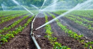 Kenya : 5 millions $ injectés dans l’irrigation