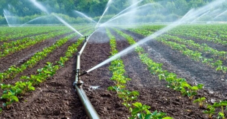 Kenya : 5 millions $ injectés dans l’irrigation