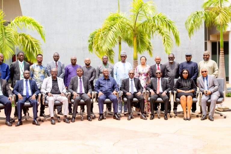 Électricité : la CEDEAO accélère l’intégration régionale