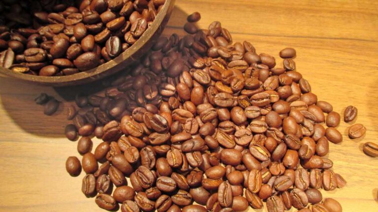 Éthiopie : un géant chinois prêt à révolutionner la transformation du café