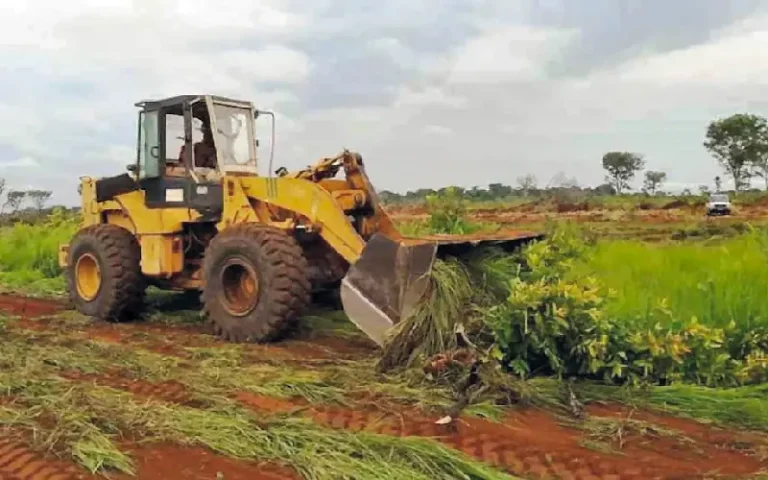 Centrafrique : un mégaprojet de 98 millions USD pour l’agriculture
