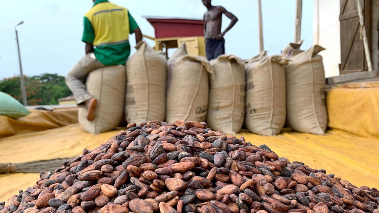 Transformation du cacao : les recettes d’exportation du Ghana bondissent de 90 %