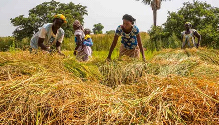 Nigéria : la BADEA accorde 40 millions d’euros aux PME