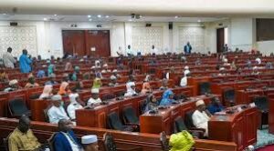 Crise énergétique au Tchad : le Parlement valide de nouveaux prêts